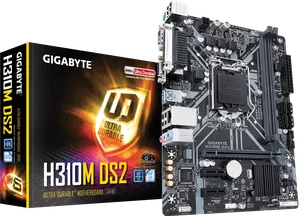 H310M DS2 (Rev. 1.0)